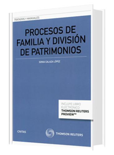 PROCESOS DE FAMILIA Y DIVISIÓN DE PATRI..